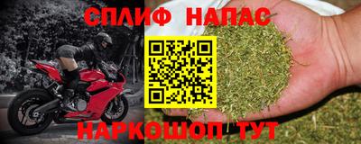 амф Кандалакша
