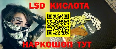 амф Кандалакша